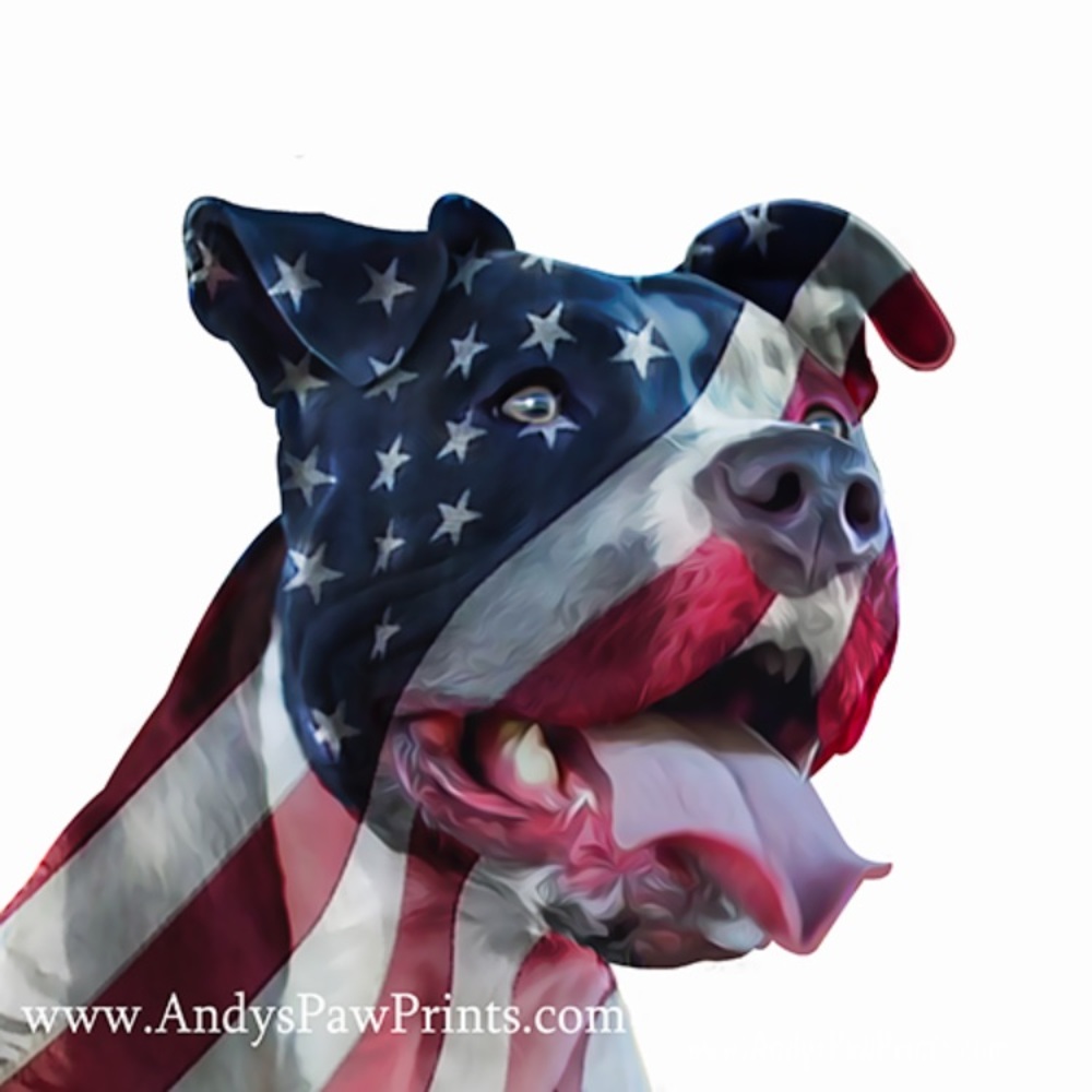 American Flag Dog decal ©Andy’s Paw Prints